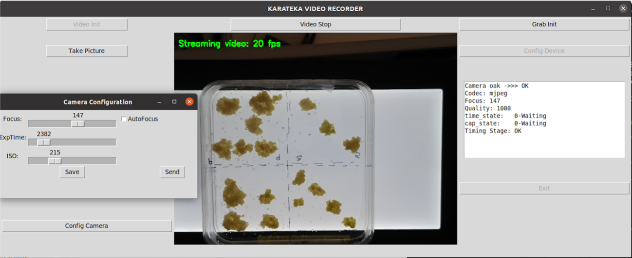 Captura visible e IR dorada entera